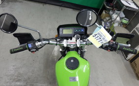 KAWASAKI SUPER SHERPA 2018 KL250G