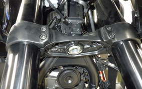 HARLEY ﾊﾟﾝ AMERICA1250 2025