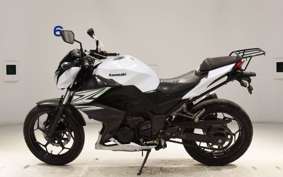 KAWASAKI Z250 2024 ER250C