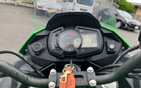 KAWASAKI VERSYS-X 250 ABS LE250D
