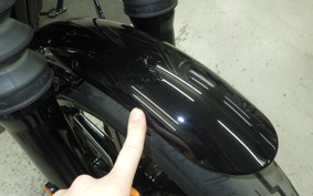 HARLEY FXBB1920 2025