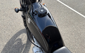 SUZUKI GLASS TRACKER BIG BOY NJ4BA