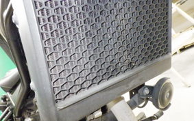 HONDA REBEL 250 A 2021 MC49