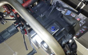 HONDA APE 100 2013 HC07