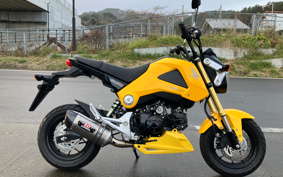 HONDA GROM JC61