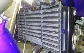 HONDA HORNET 250 2010 MC31