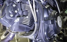 DUCATI SCRAMBLER 2024