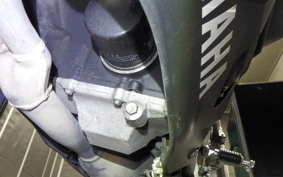 YAMAHA YZF-R3 2019 RH13J