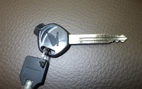 HONDA ZOOMER 2013 AF58