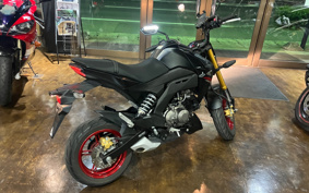 KAWASAKI Z125 PRO BR125H