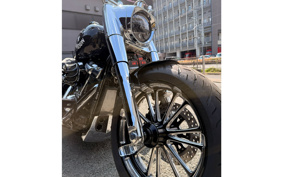 HARLEY FLFBS 2018 YGK