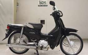 HONDA C110 SUPER CUB 2019 JA10