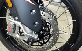 TRIUMPH TIGER 900 RALLY PRO 2024