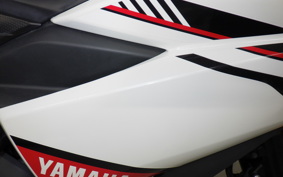 YAMAHA YZF-R25 1996 RG10J