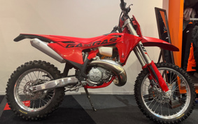 GASGAS EC 250