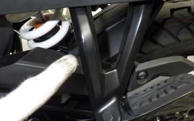 KTM 250 ADVENTURE 2023