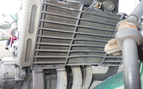 HONDA HORNET 250 1982 MC31