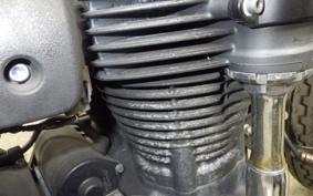 KAWASAKI W800 2021 EJ800B