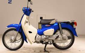 HONDA C110 SUPER CUB
