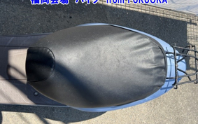 HONDA DIO CHESTER