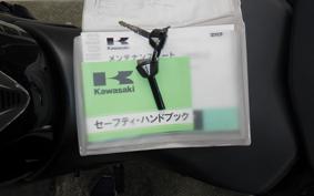 KAWASAKI NINJA 1000SX 2020 ZXT02K