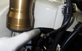 YAMAHA XSR900 GP 2026 RN96J