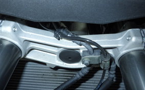 KAWASAKI NINJA 1000 SX 2024 ZXT02K