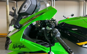 KAWASAKI NINJA ZX-10R 2024 ZXT02L