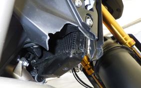 TRIUMPH TIGER 900 RALLY PRO 2025
