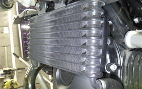 BMW R NINE T SCRAMBLER 2024