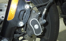 HARLEY XL1200NS 2019