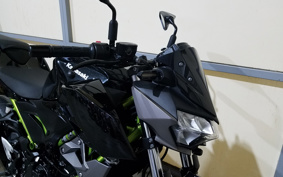 KAWASAKI Z250 ABS EX250P
