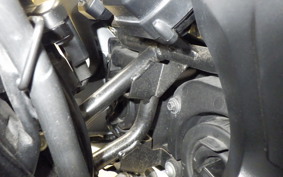 YAMAHA FZ1 FAZER 2014 RN21J