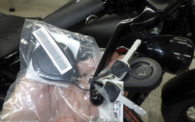 HARLEY FLSL 1750 2018