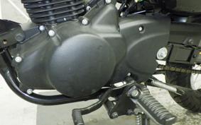KAWASAKI W175A