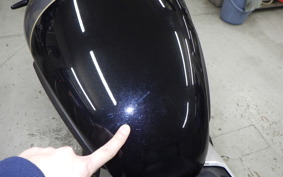 TRIUMPH SPEED TWIN 900 2025