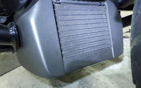 HARLEY FLHXST1920 2022