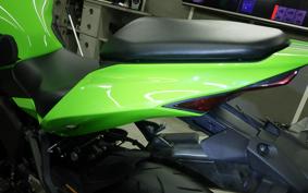 KAWASAKI ZX-4RR 2024 ZX400P