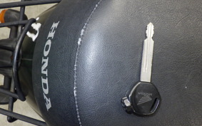 HONDA TODAY 2021 AF61