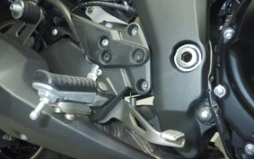 KAWASAKI NINJA 1000SX 2024 ZXT02K