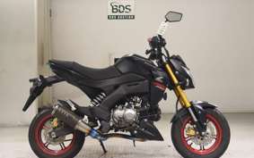 KAWASAKI Z125 PRO BR125H