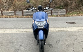HONDA DUNK AF74