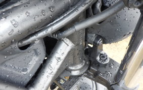 HONDA REBEL 250 A MC49