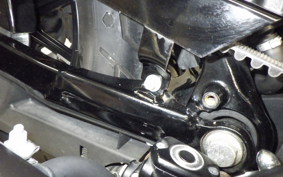 HARLEY XL883N 2018