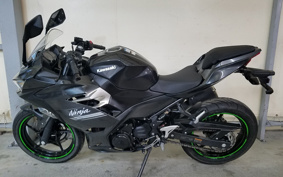 KAWASAKI NINJA 250 EX250P