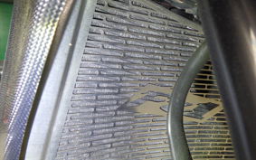 YAMAHA FZ1 FAZER 2008 RN21J