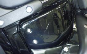 HARLEY FXLRS1920 2024
