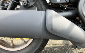 HONDA  REBEL 250 ABS MC49