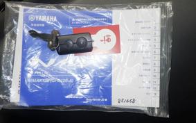 YAMAHA N-MAX 2023 SEG6J