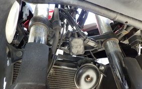 KAWASAKI NINJA 250 ABS EX250L